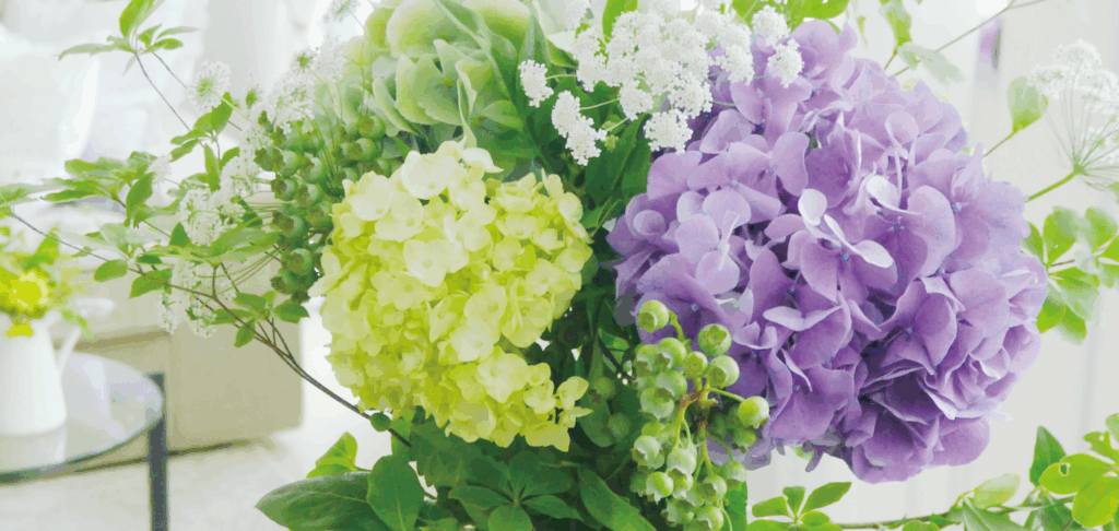 お花のプロを応援します！