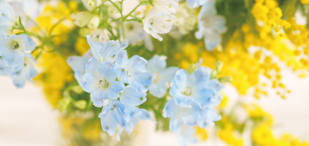 お花のプロを応援します！