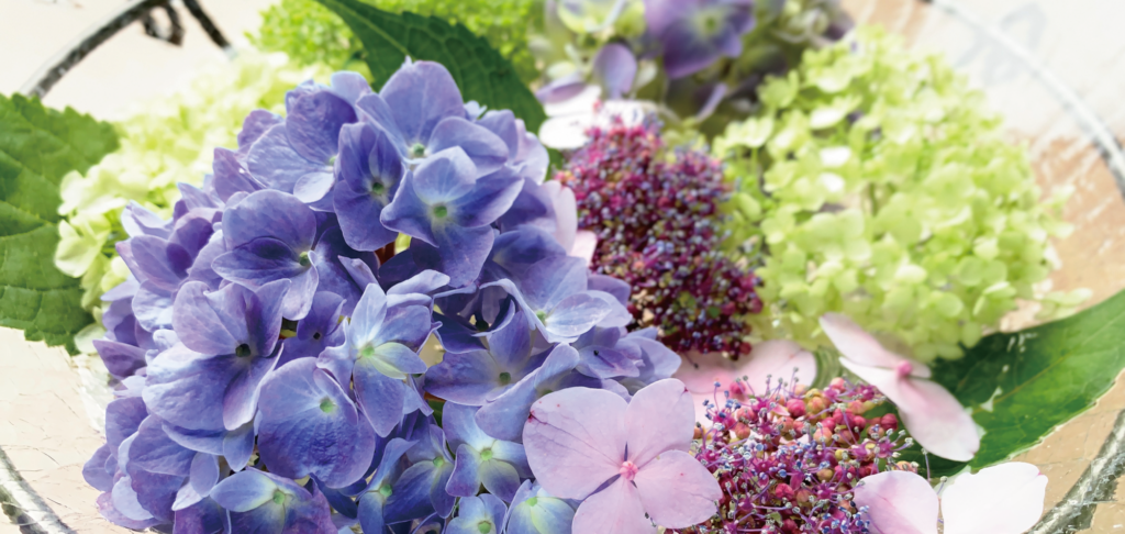 お花のプロを応援します！
